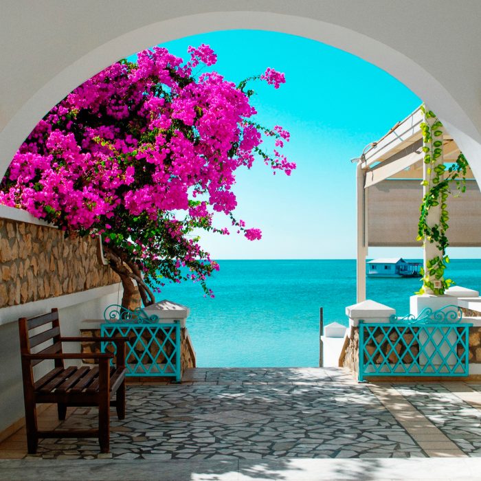 view-of-the-blue-sea-of-tunisia-through-white-archway-with-pink-blooming-flowers-in-the-foreground-in-the-distance-house-on-the-water