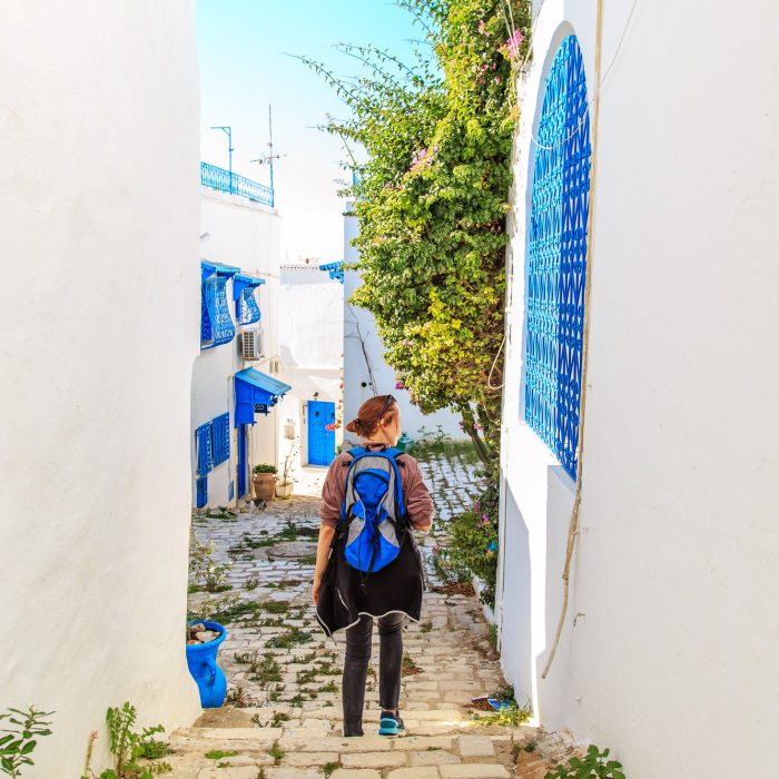 white-blue-city-of-sidi-bou-said-tunisia-eastern-fairy-tale-with-french-charm (1)