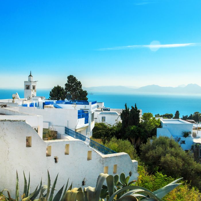 white-blue-city-of-sidi-bou-said-tunisia-eastern-fairy-tale-with-french-charm